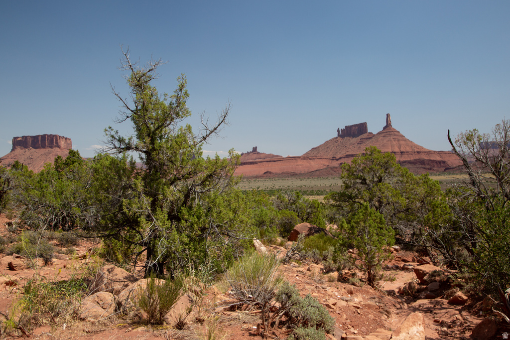 343  TAYLOR LN Castle Valley, UT 84532