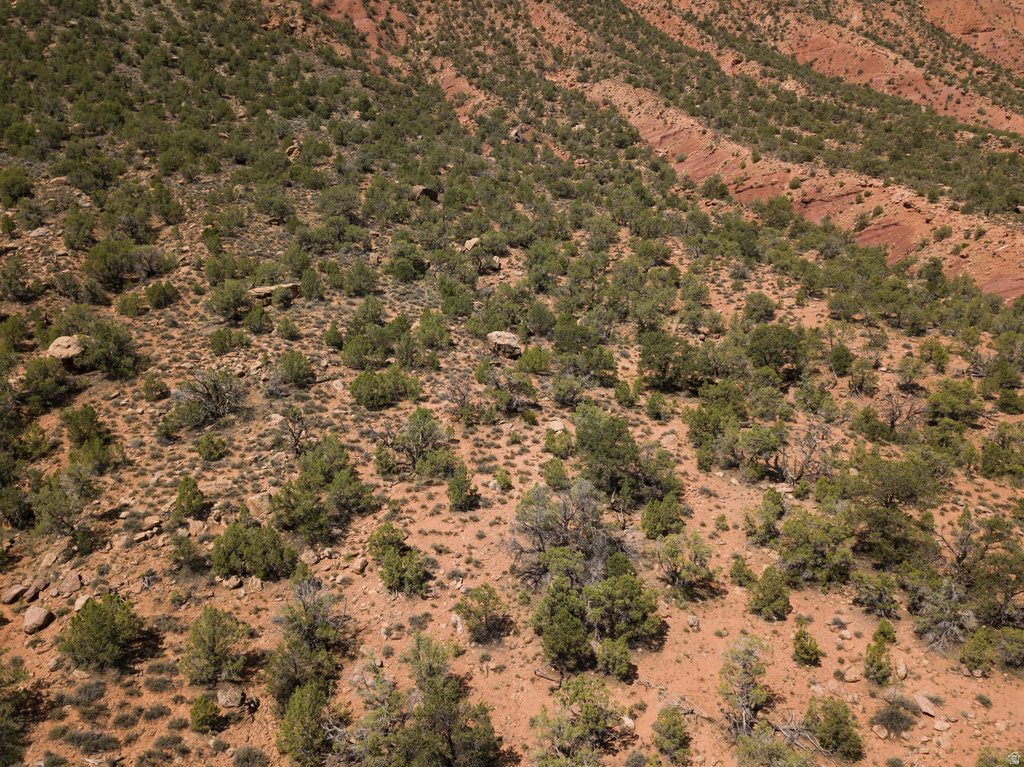 343  TAYLOR LN Castle Valley, UT 84532