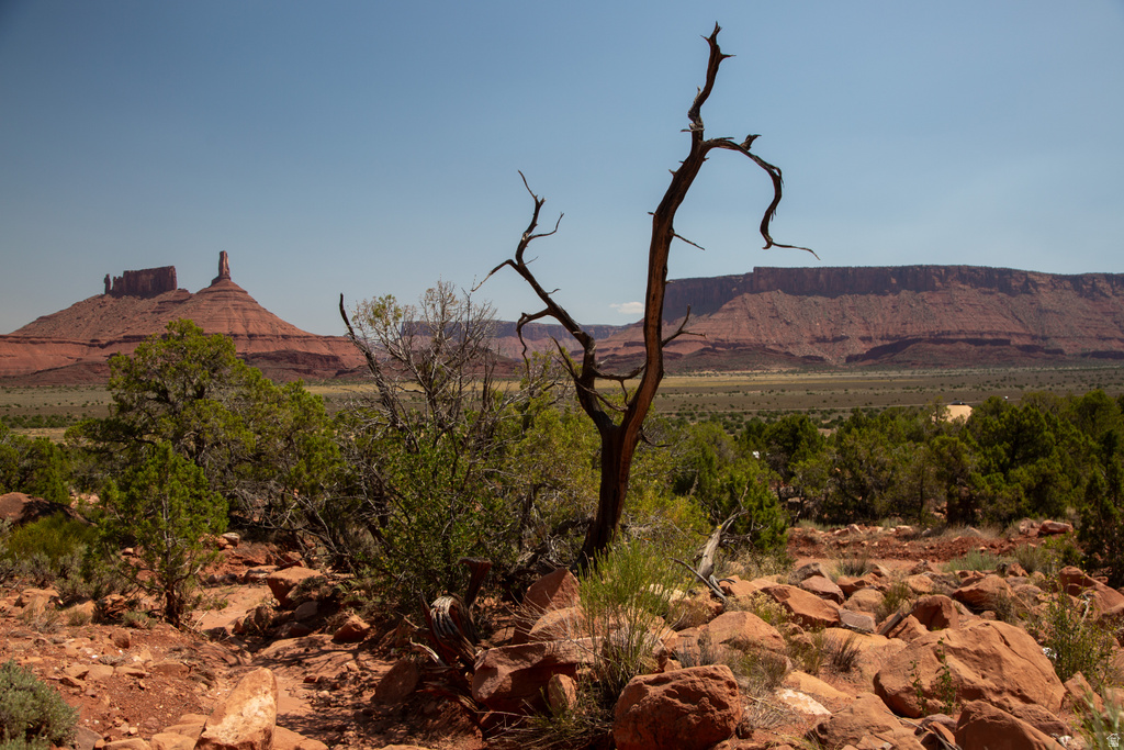 343  TAYLOR LN Castle Valley, UT 84532