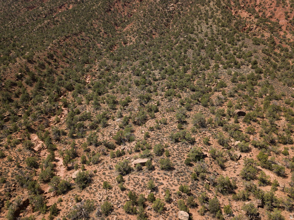 343  TAYLOR LN Castle Valley, UT 84532