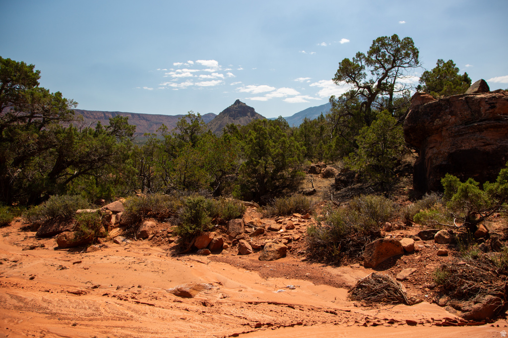 343  TAYLOR LN Castle Valley, UT 84532