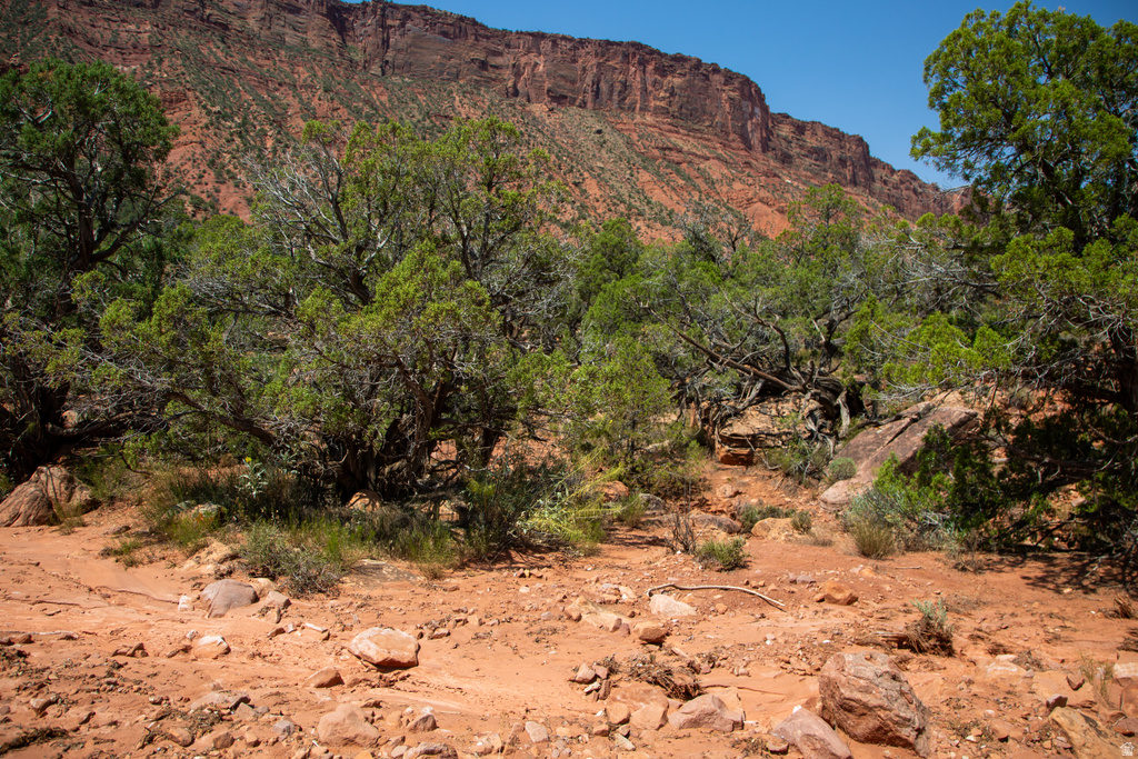 343  TAYLOR LN Castle Valley, UT 84532