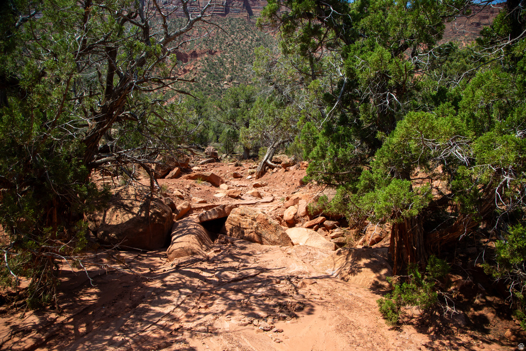 343  TAYLOR LN Castle Valley, UT 84532