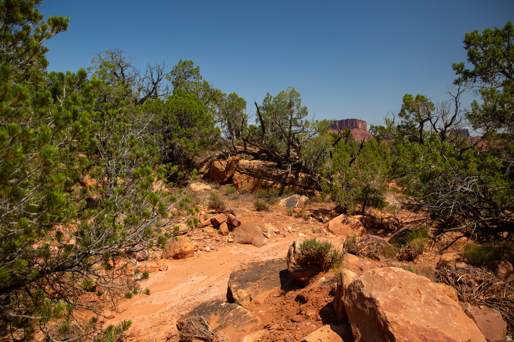 343  TAYLOR LN Castle Valley, UT 84532