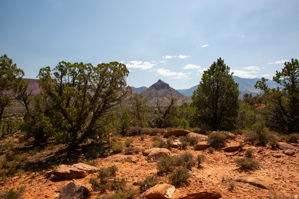 343  TAYLOR LN Castle Valley, UT 84532