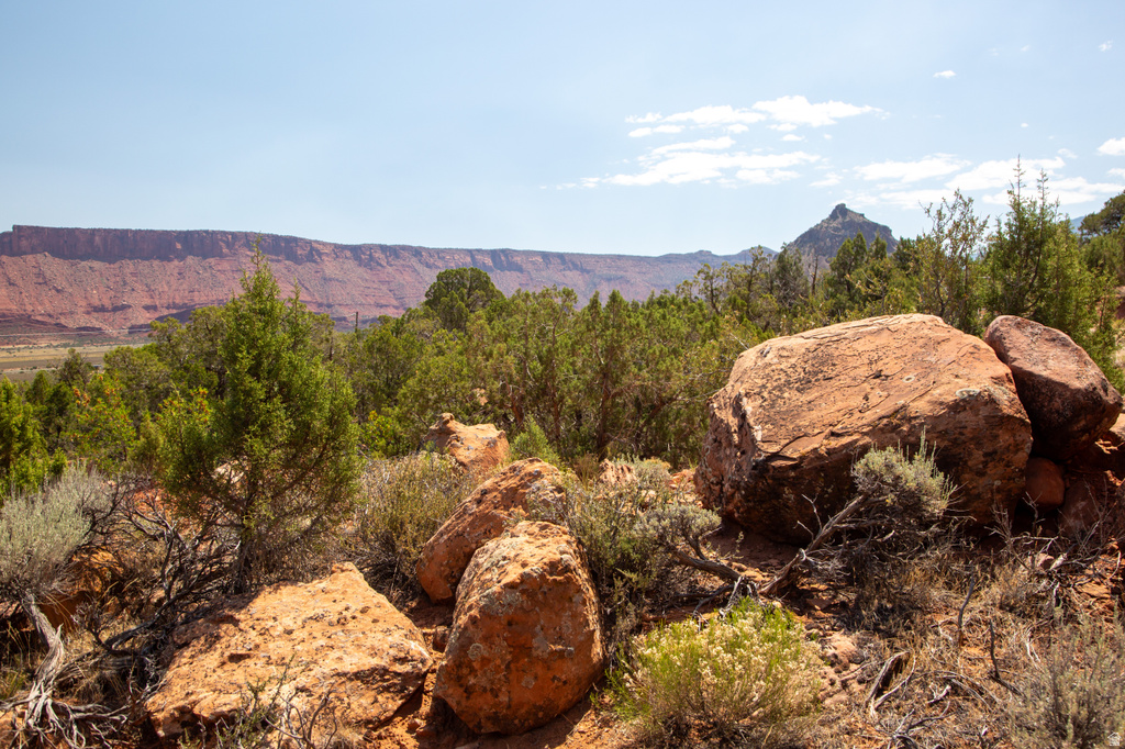 343  TAYLOR LN Castle Valley, UT 84532