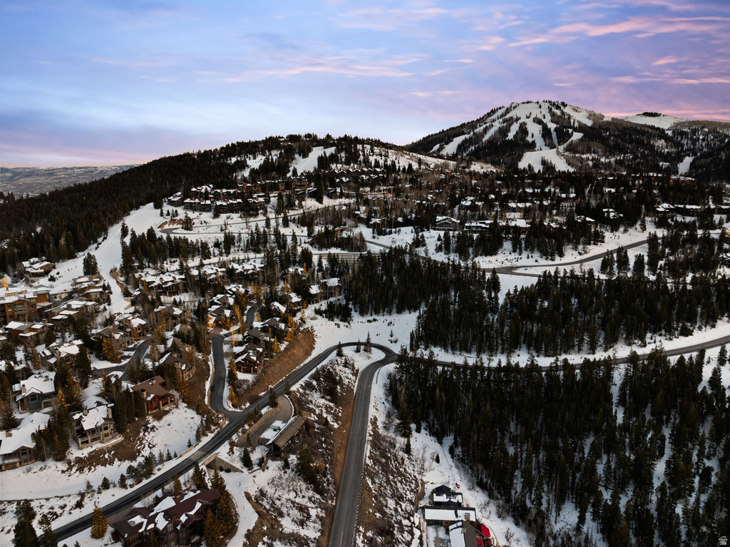 21 SILVER DOLLAR DR Park City, UT 84060