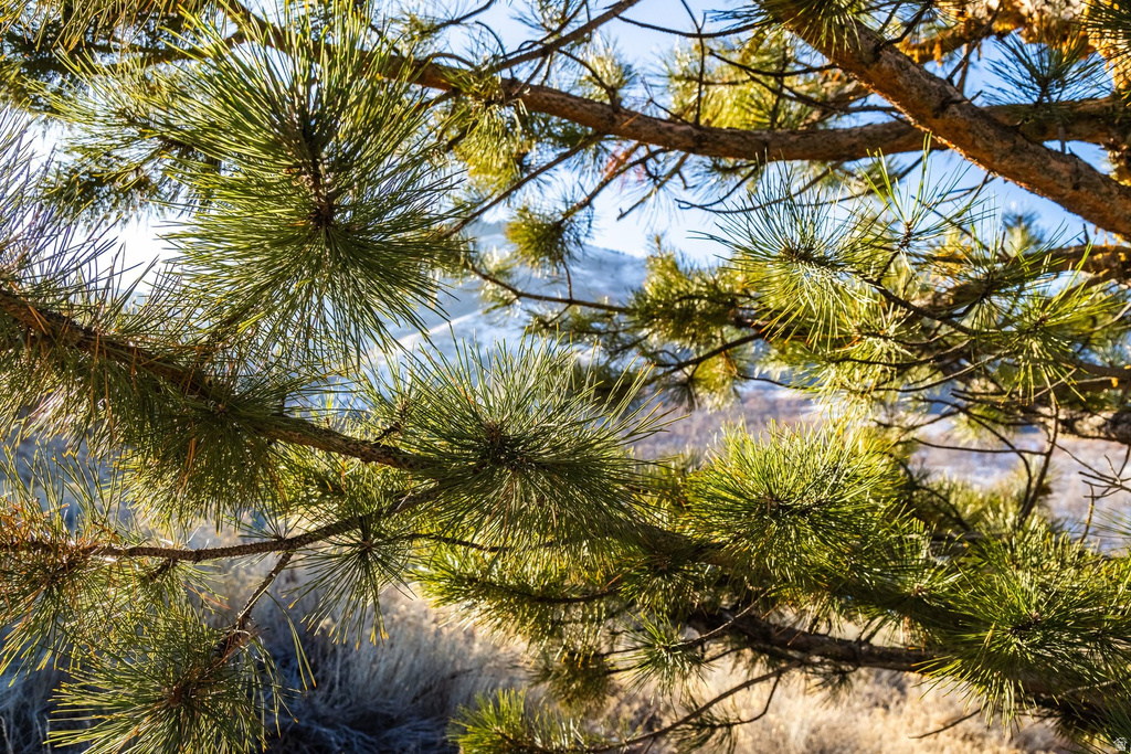 310 S MARYFIELD DR Salt Lake City, UT 84108