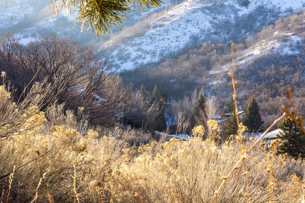 310 S MARYFIELD DR Salt Lake City, UT 84108