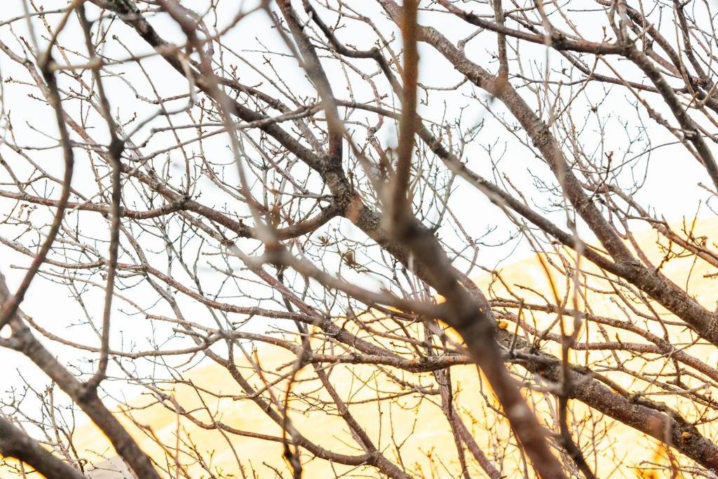 310 S MARYFIELD DR Salt Lake City, UT 84108