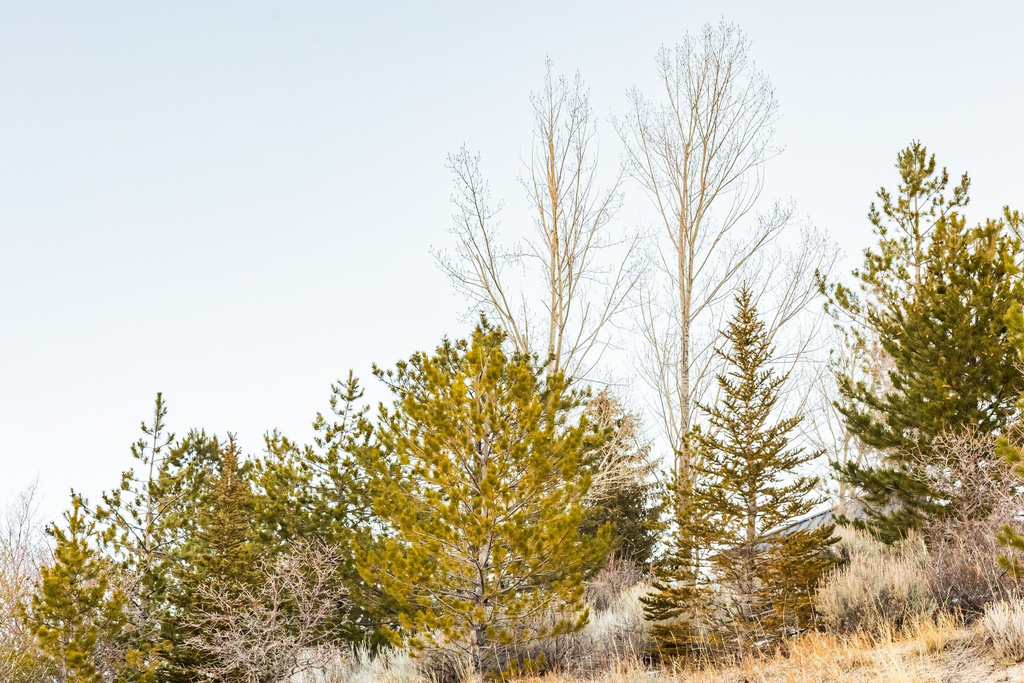 310 S MARYFIELD DR Salt Lake City, UT 84108