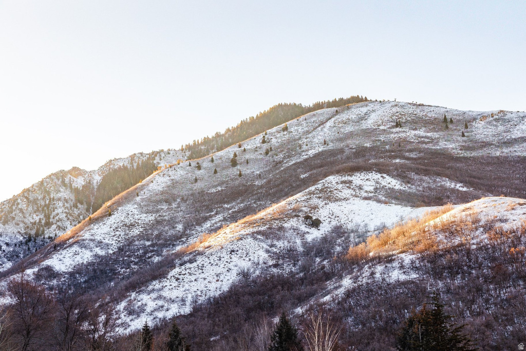 310 S MARYFIELD DR Salt Lake City, UT 84108