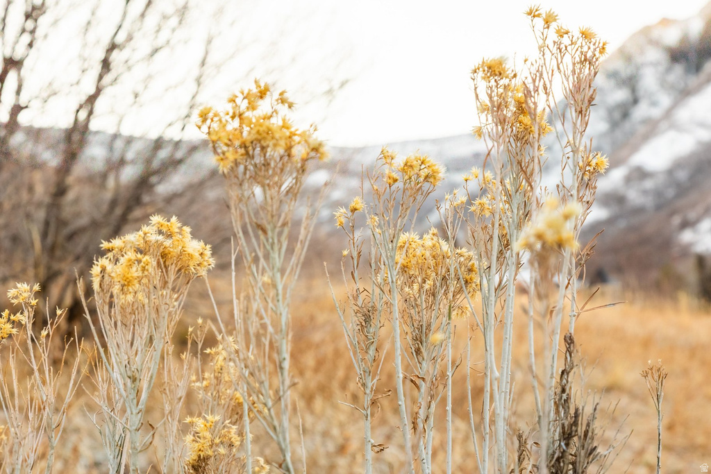 310 S MARYFIELD DR Salt Lake City, UT 84108