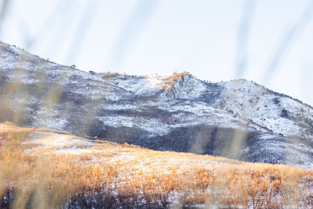 310 S MARYFIELD DR Salt Lake City, UT 84108