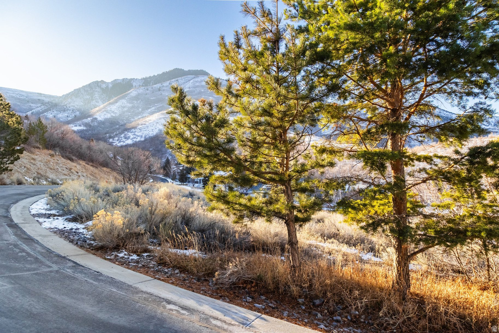 310 S MARYFIELD DR Salt Lake City, UT 84108