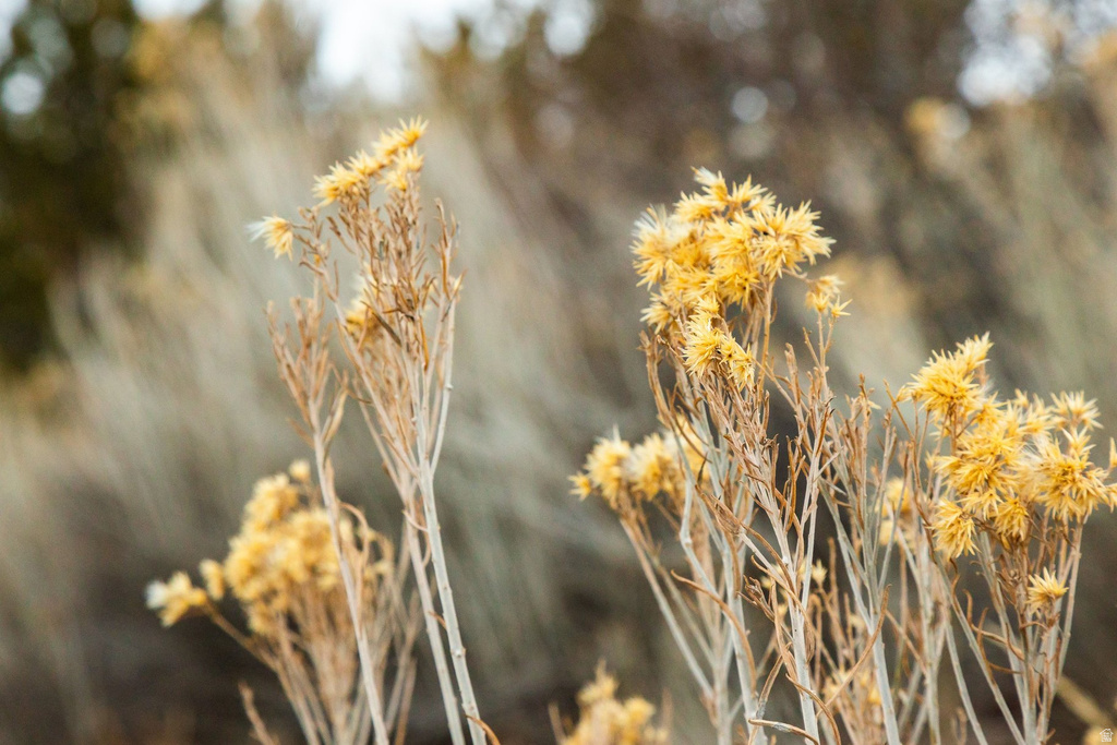 310 S MARYFIELD DR Salt Lake City, UT 84108