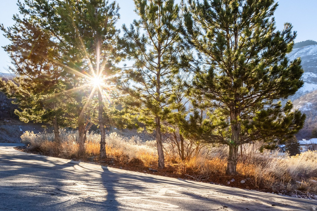 310 S MARYFIELD DR Salt Lake City, UT 84108