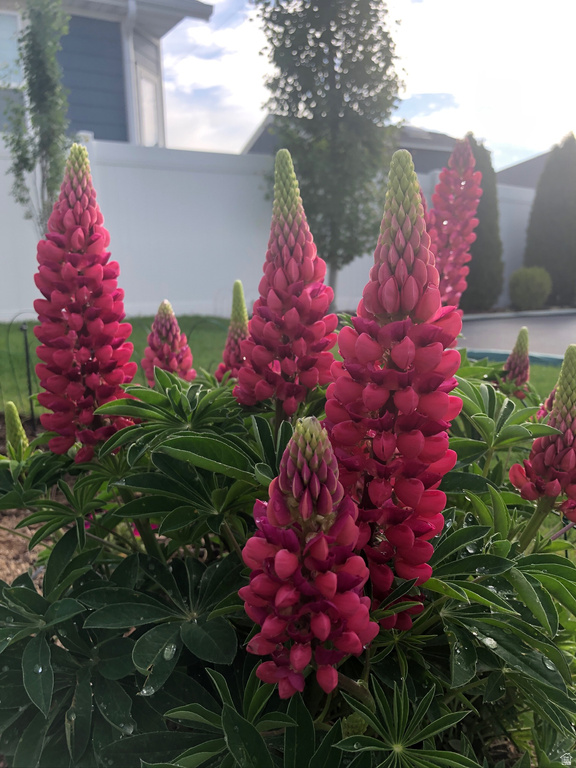 15103 S PLEDGE DR Bluffdale, UT 84065