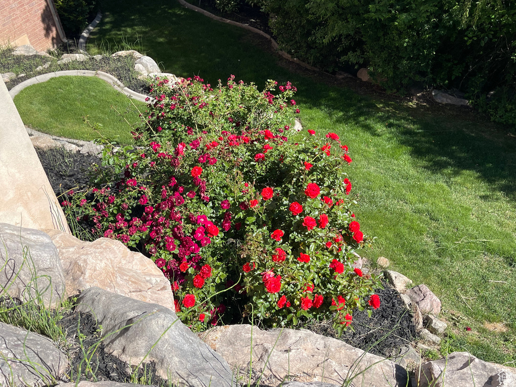 1921 MOHAWK LN Ogden, UT 84403