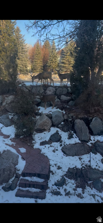 1921 MOHAWK LN Ogden, UT 84403