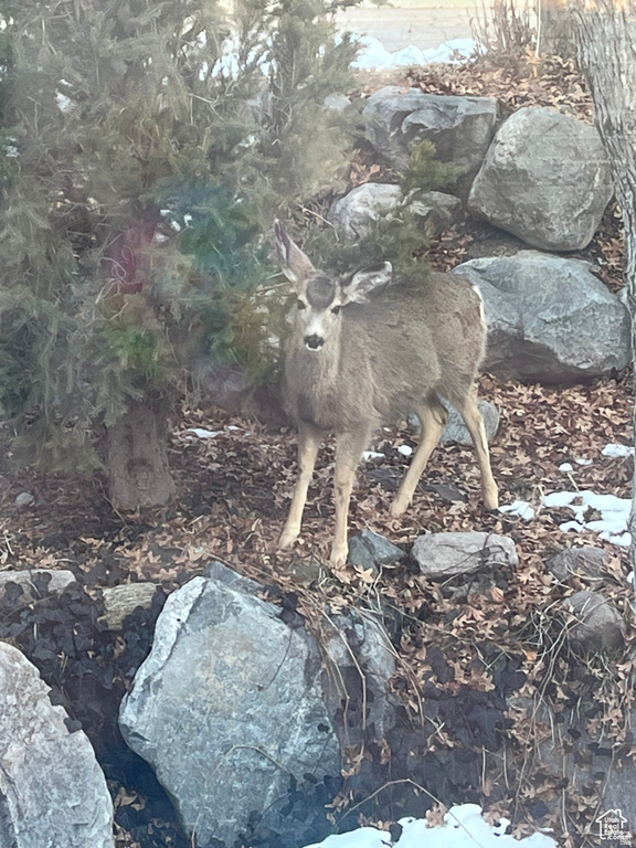 1921 MOHAWK LN Ogden, UT 84403