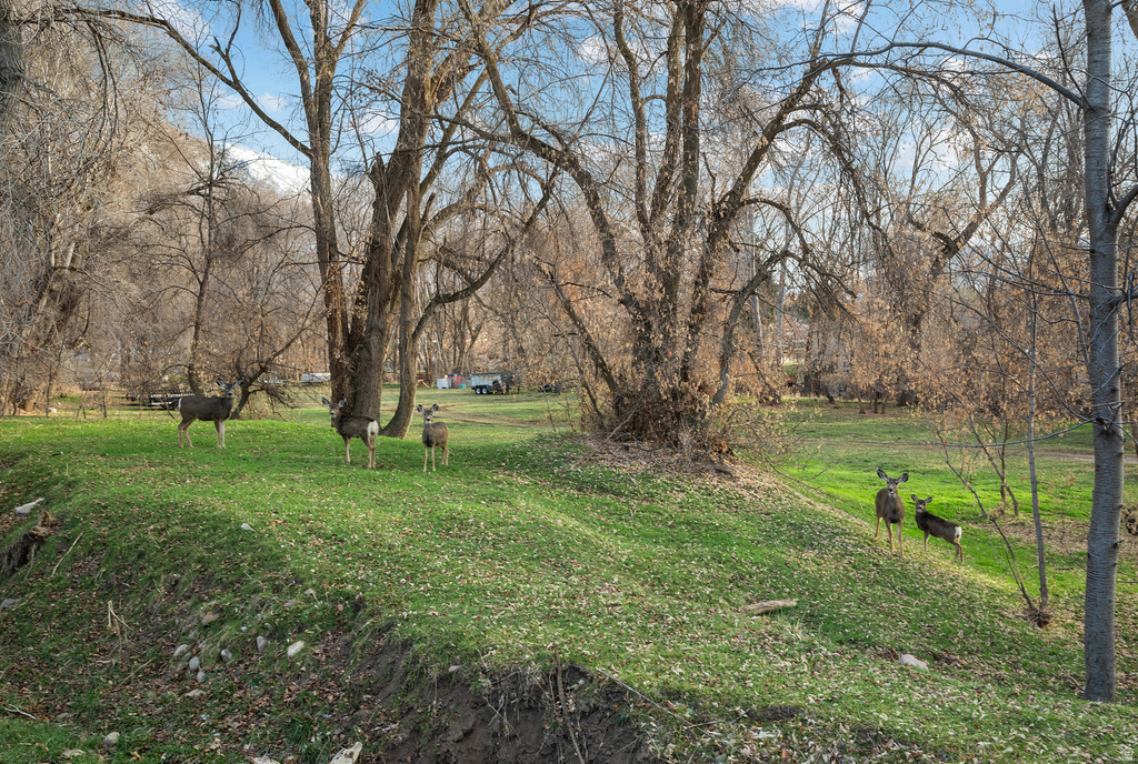 978 S 1375 E Springville, UT 84663