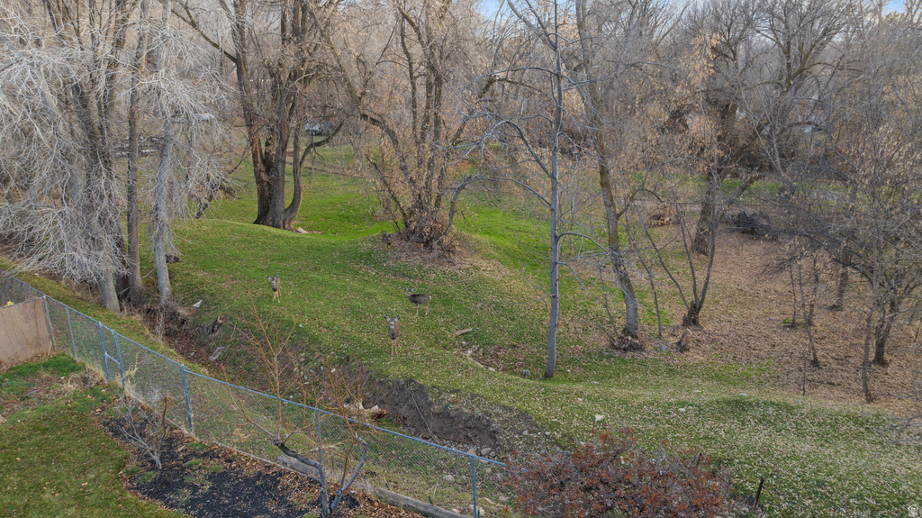 978 S 1375 E Springville, UT 84663