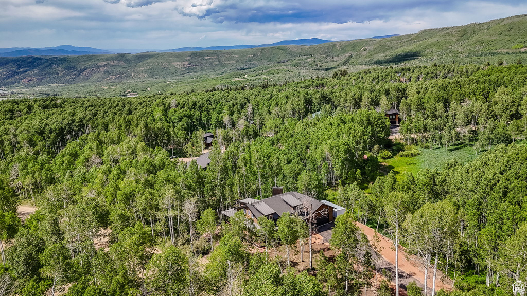 11301 E MARIGOLD LN #1670 Heber City, UT 84032