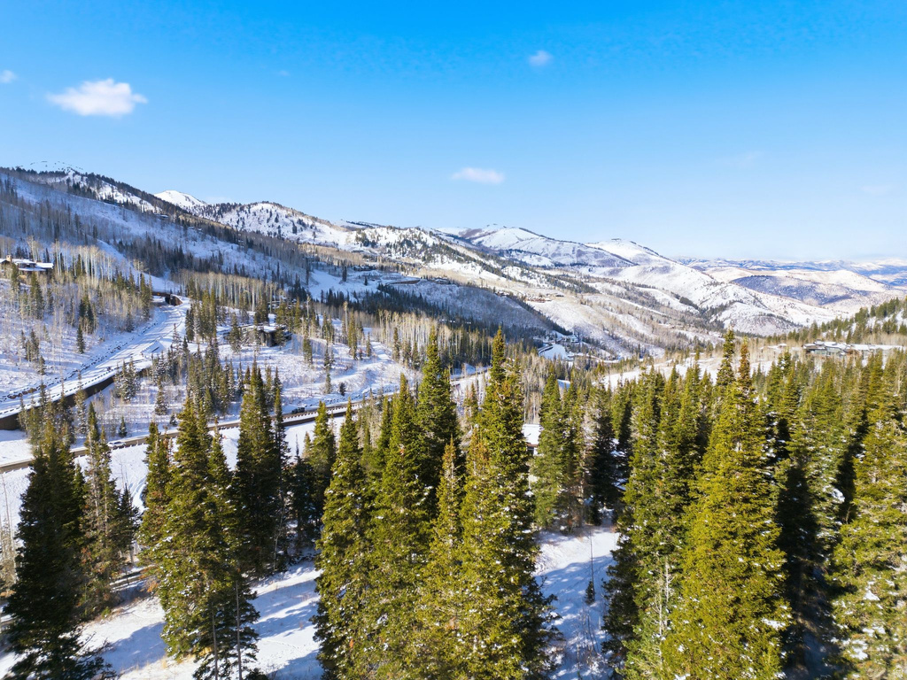 207  WHITE PINE CANYON RD Park City, UT 84060