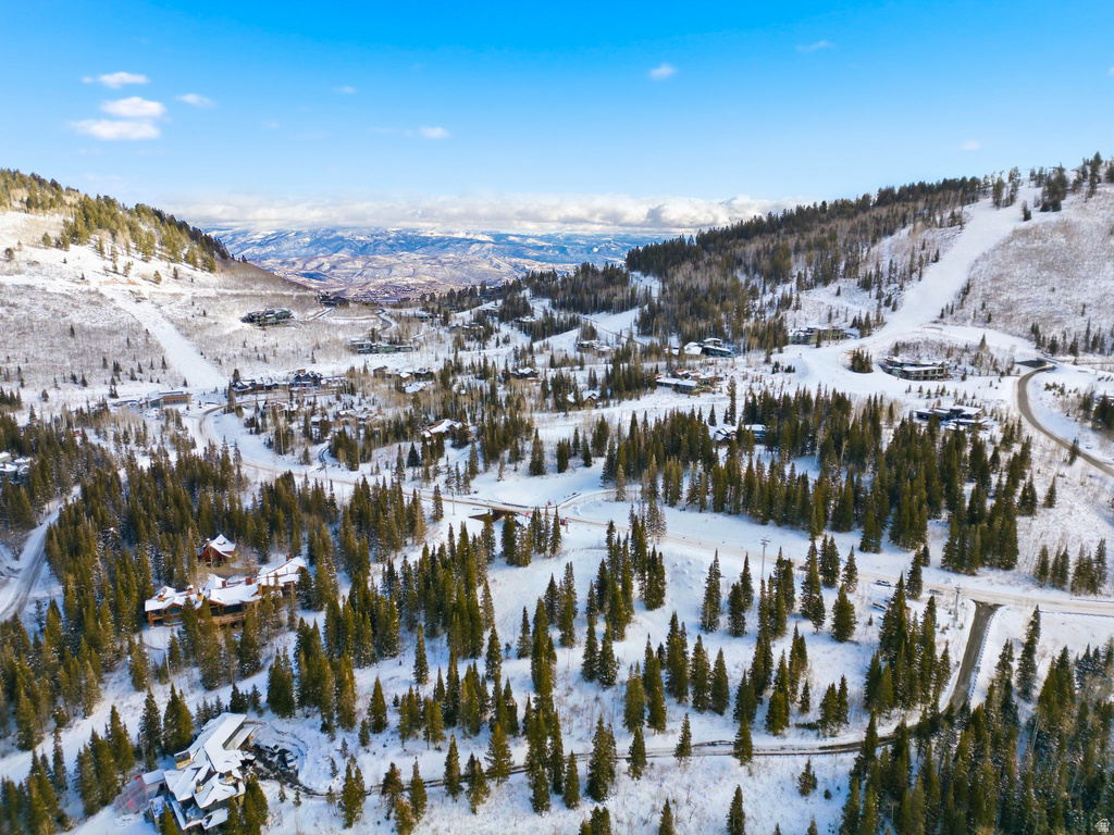 207  WHITE PINE CANYON RD Park City, UT 84060