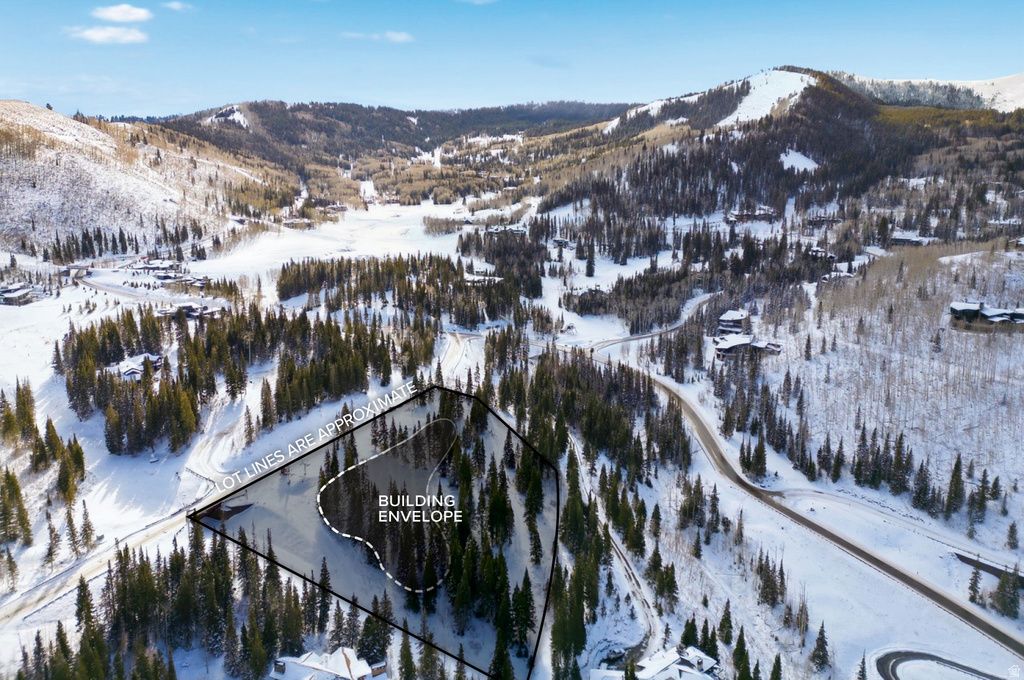 207  WHITE PINE CANYON RD Park City, UT 84060