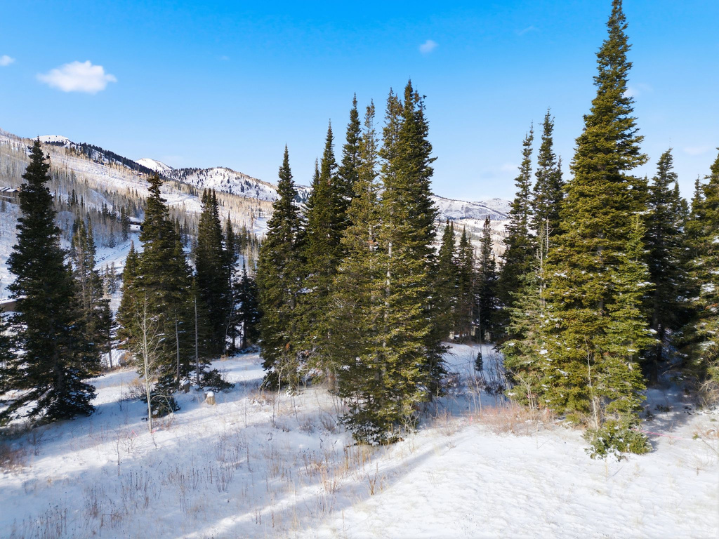 207  WHITE PINE CANYON RD Park City, UT 84060