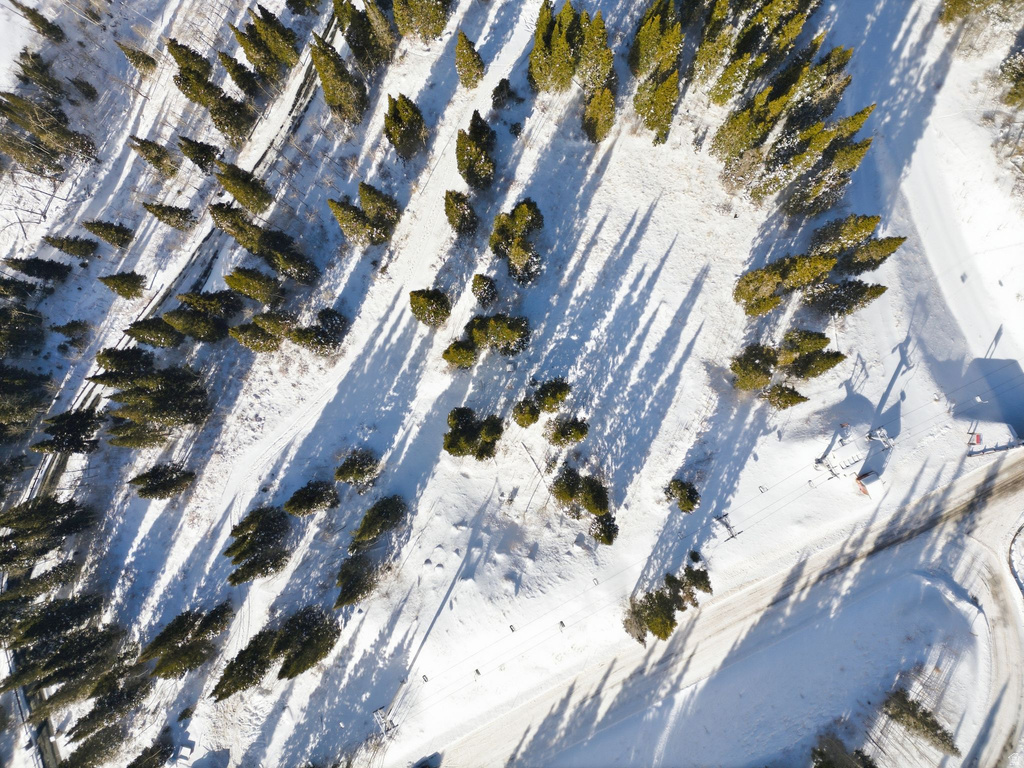 207  WHITE PINE CANYON RD Park City, UT 84060