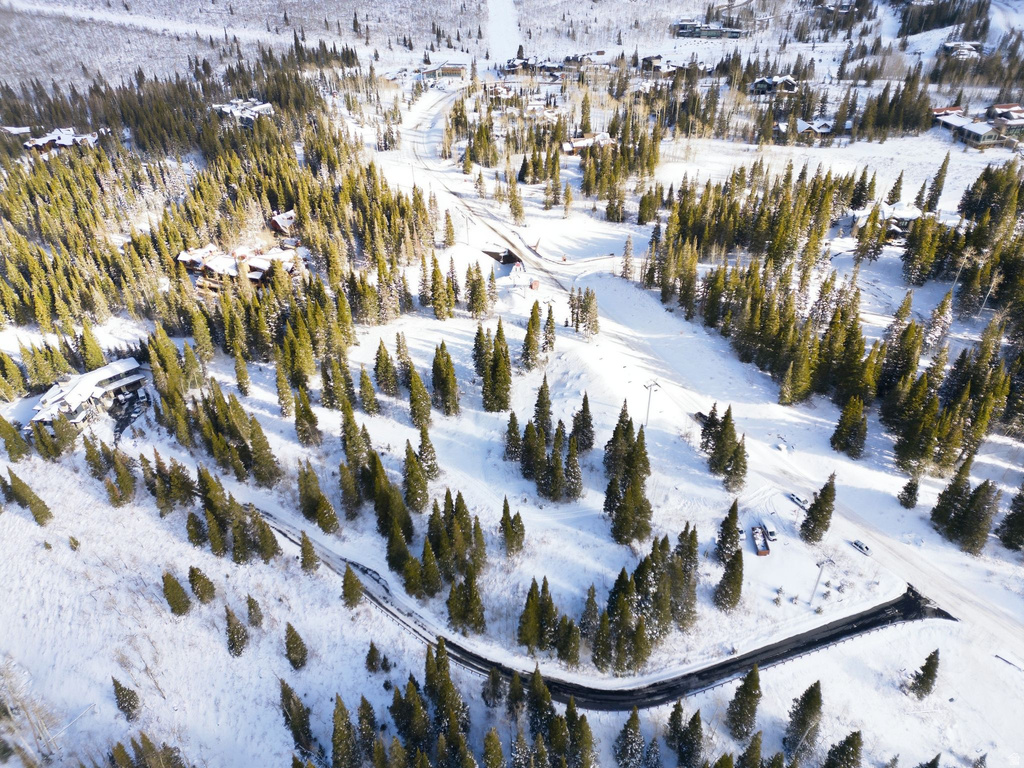 207  WHITE PINE CANYON RD Park City, UT 84060