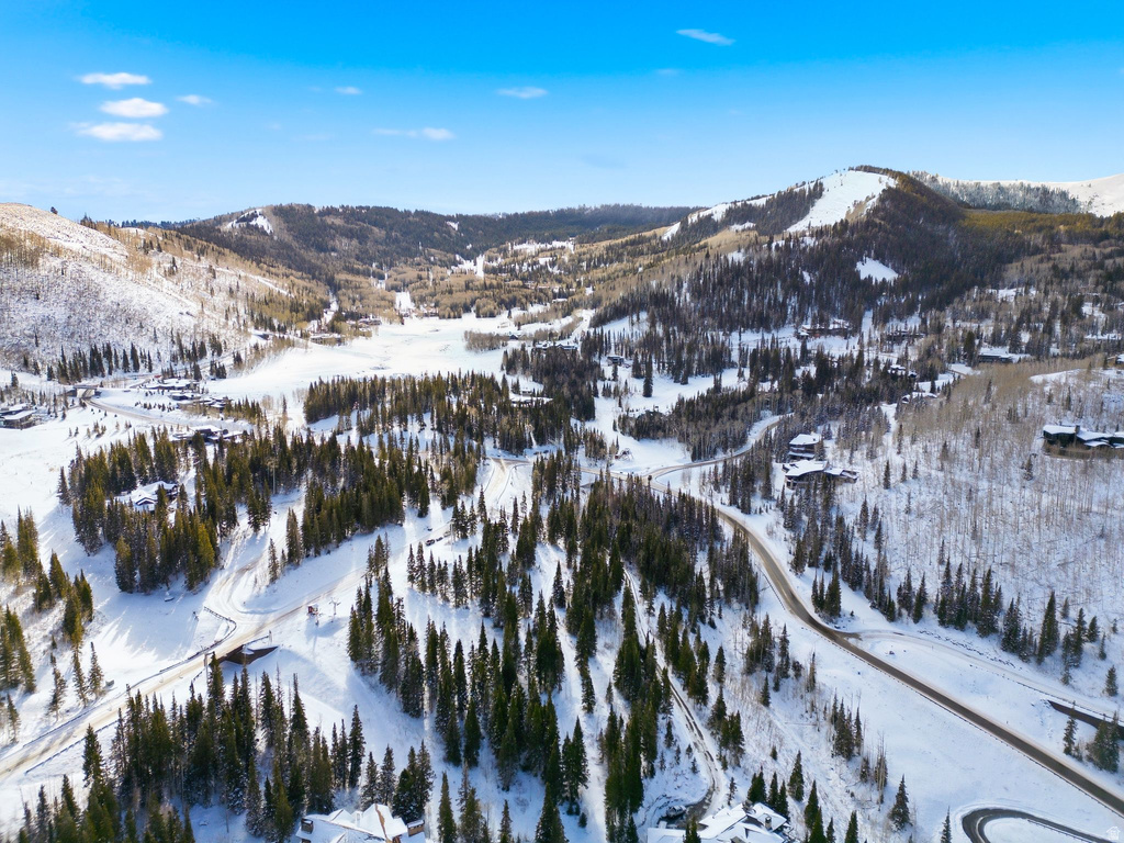 207  WHITE PINE CANYON RD Park City, UT 84060
