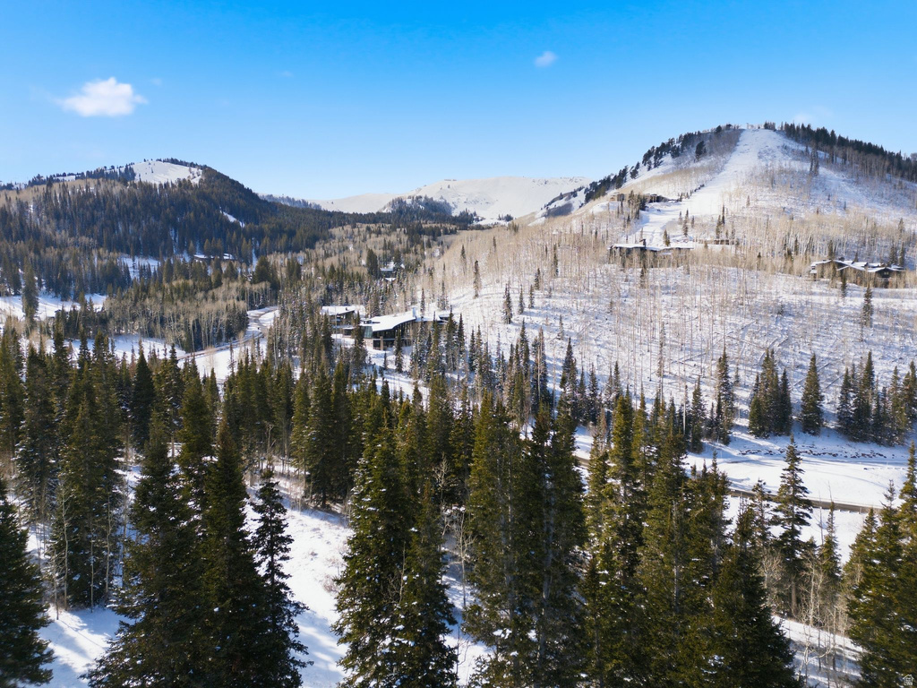 207  WHITE PINE CANYON RD Park City, UT 84060