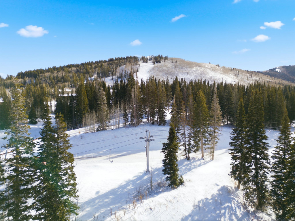 207  WHITE PINE CANYON RD Park City, UT 84060