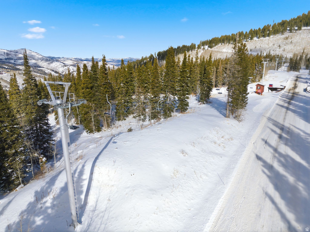 207  WHITE PINE CANYON RD Park City, UT 84060