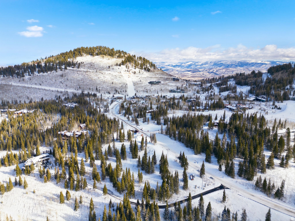 207  WHITE PINE CANYON RD Park City, UT 84060