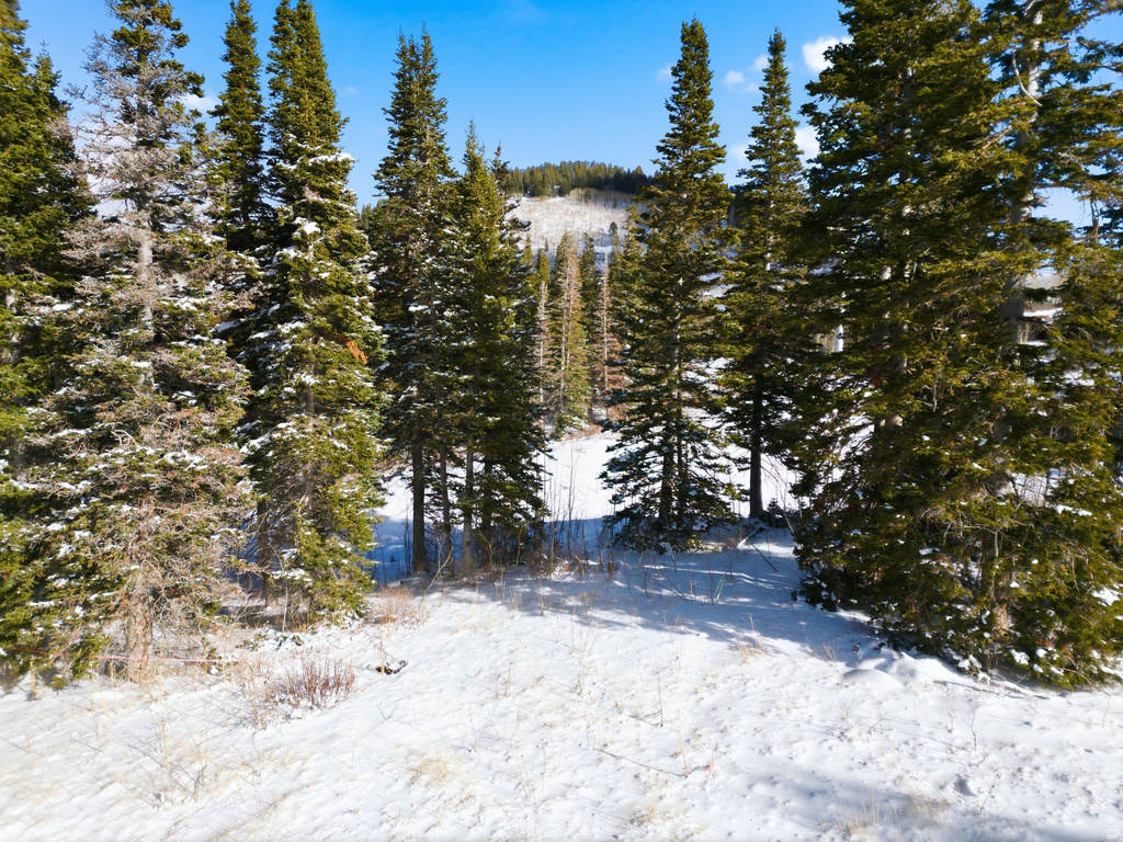 207  WHITE PINE CANYON RD Park City, UT 84060