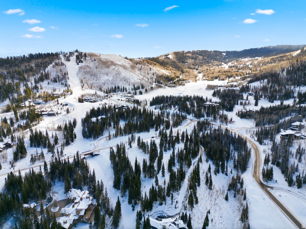 207  WHITE PINE CANYON RD Park City, UT 84060