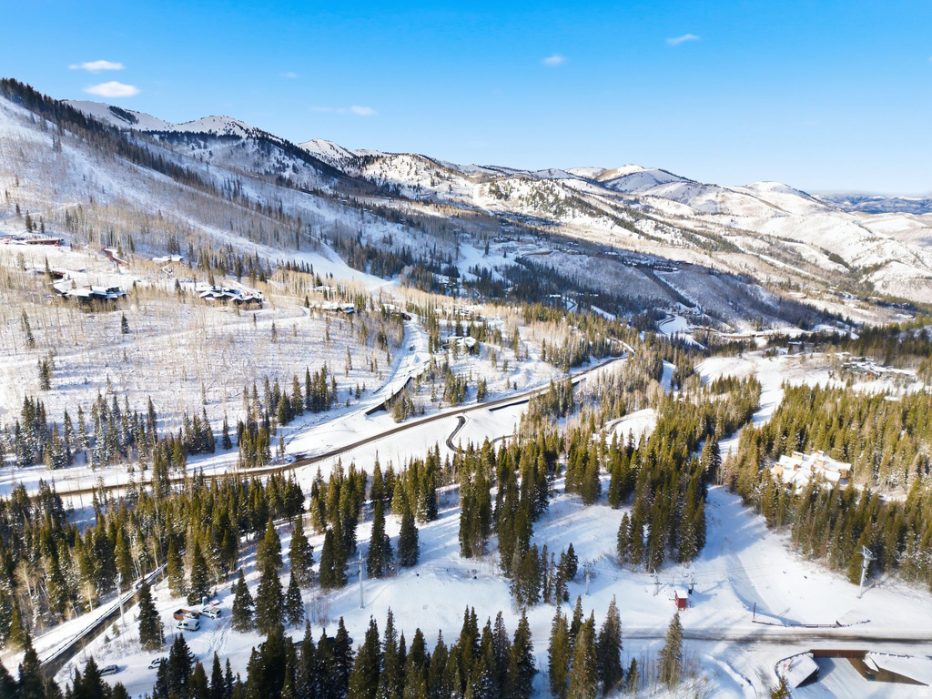 207  WHITE PINE CANYON RD Park City, UT 84060