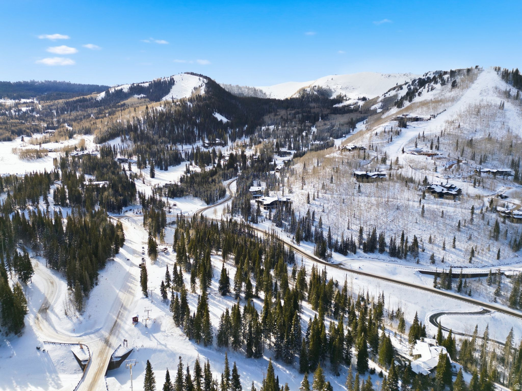 207  WHITE PINE CANYON RD Park City, UT 84060