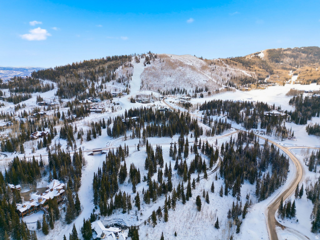 207  WHITE PINE CANYON RD Park City, UT 84060