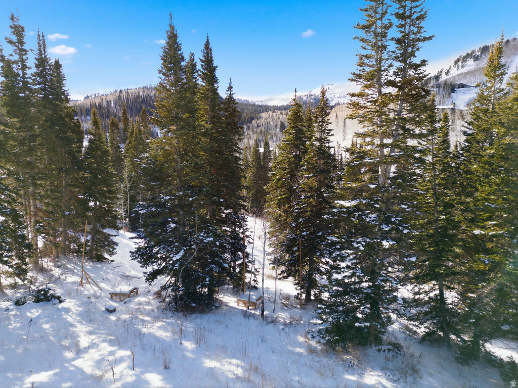 207  WHITE PINE CANYON RD Park City, UT 84060