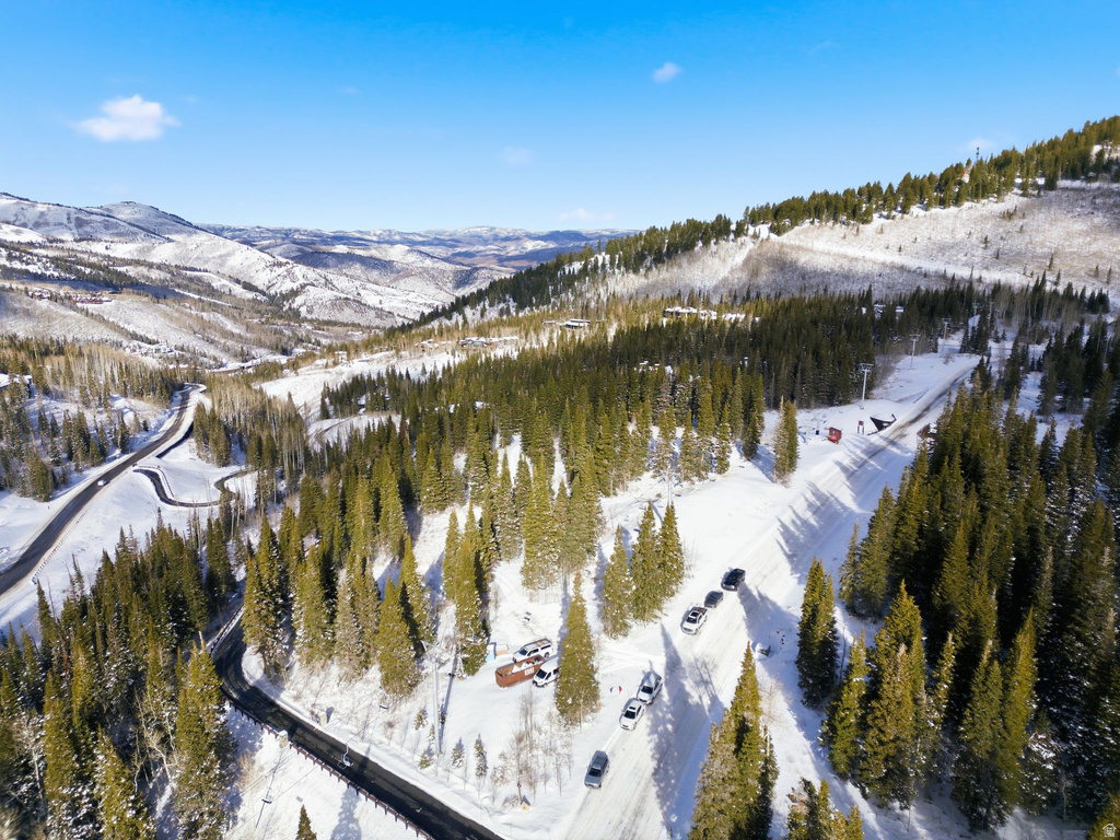 207  WHITE PINE CANYON RD Park City, UT 84060
