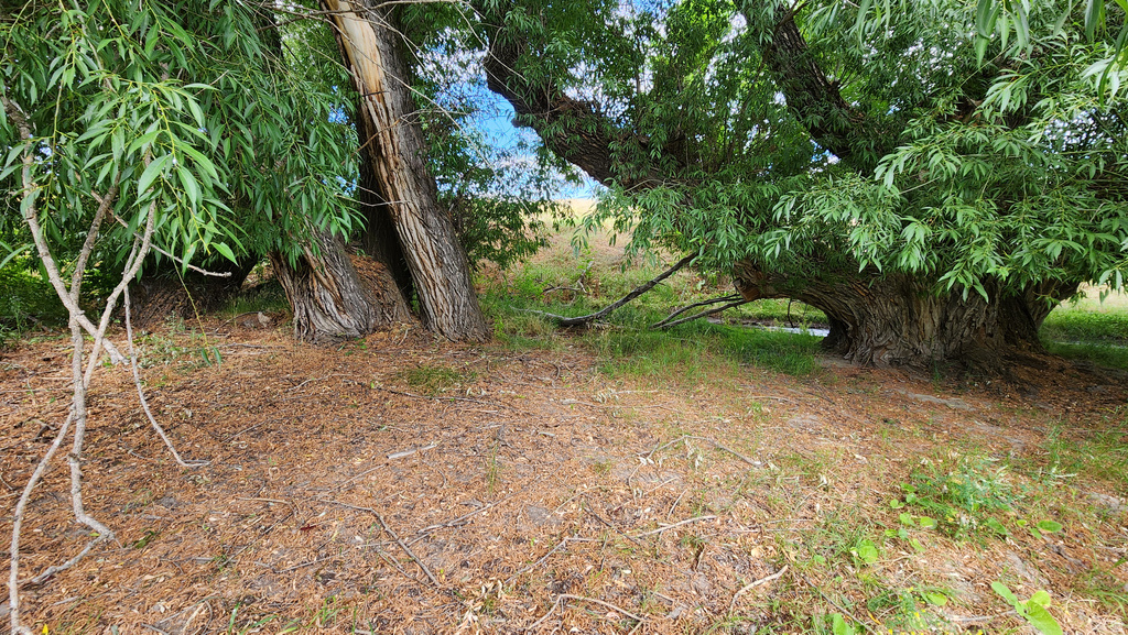 806  STRINGTOWN RD Midway, UT 84049