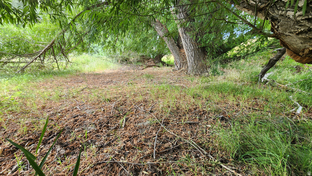 806  STRINGTOWN RD Midway, UT 84049