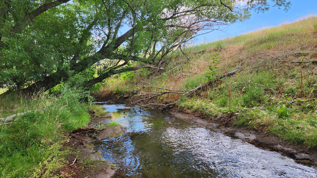 806  STRINGTOWN RD Midway, UT 84049