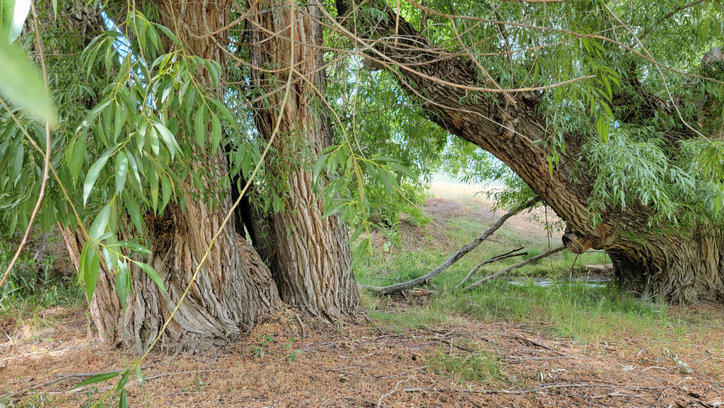 806  STRINGTOWN RD Midway, UT 84049